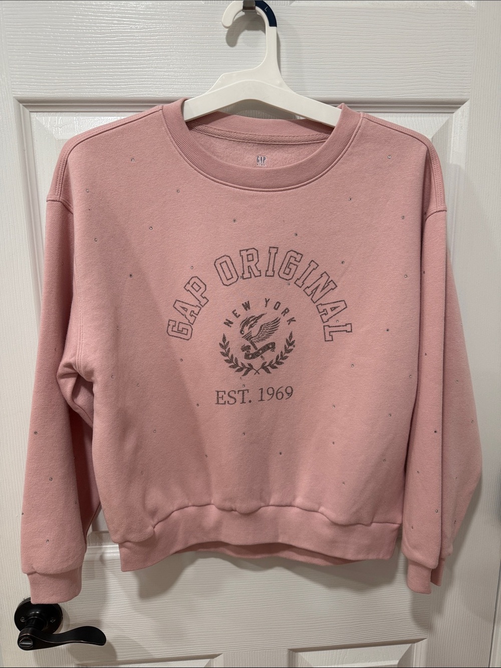 NWT GAP Kids Pink Crewneck Sweatshirt with Logo SZ XXL